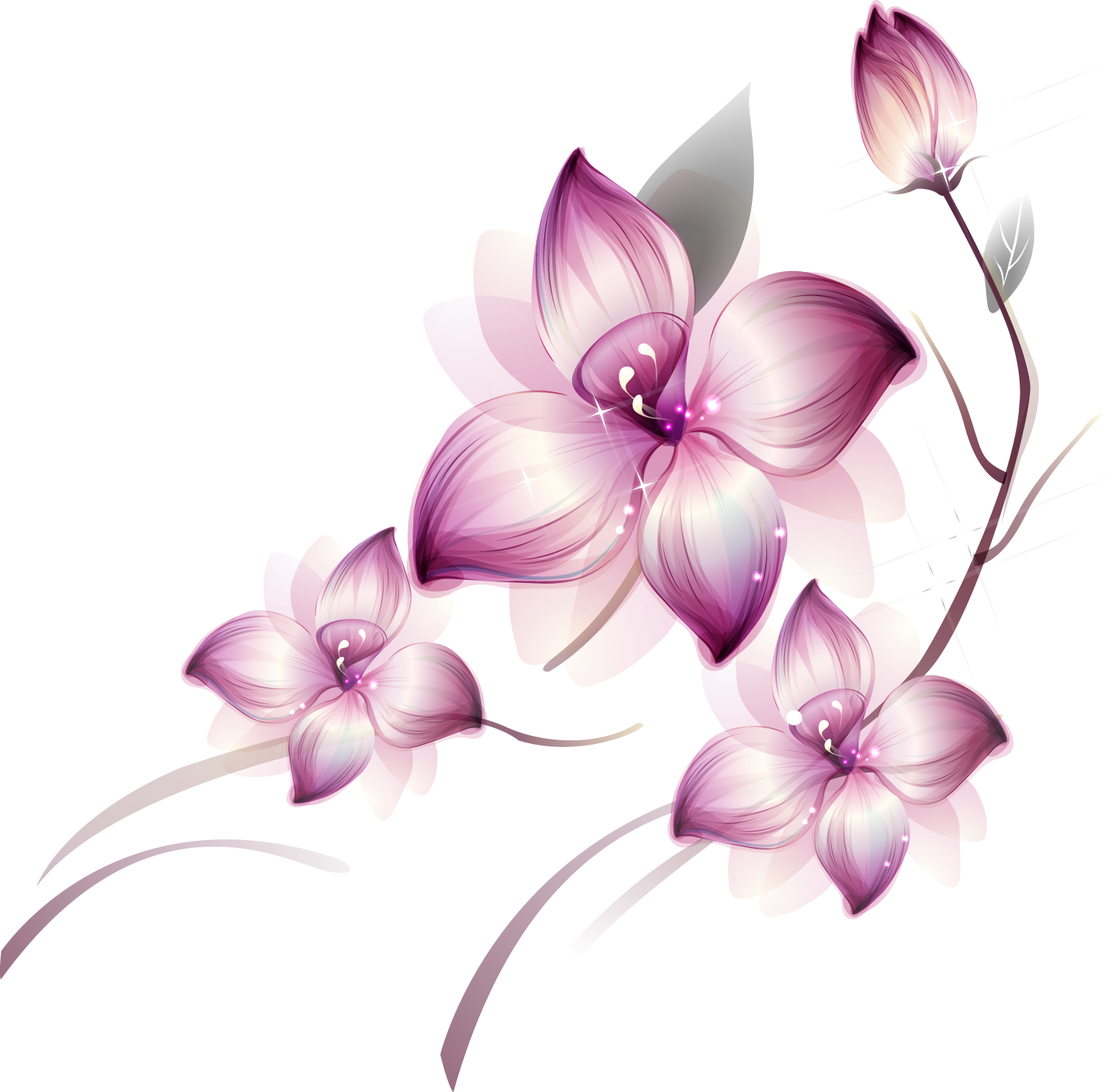 Эниостиль для Леди Эниостиль для Леди